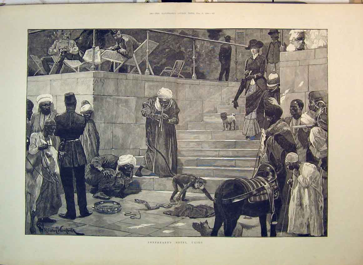 Old Antique Print 1884 Shephead'S Hotel Cairo Monkey Horse Snake Charmer 19th