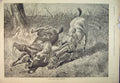 Original Old Antique Print 1892 Country Scene Men Falling Horses Jumping Fence