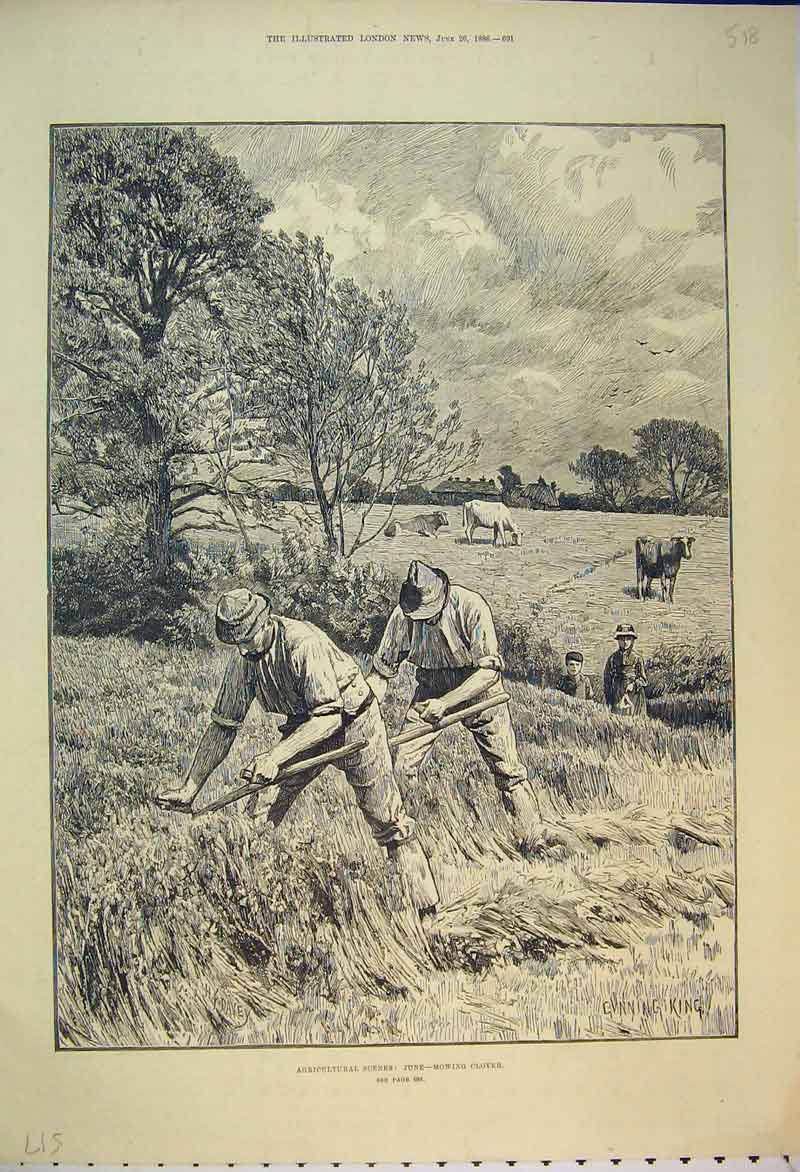 Old Antique Print 1886 Agricultural Scene June Mowing Clover Field Farm 19th