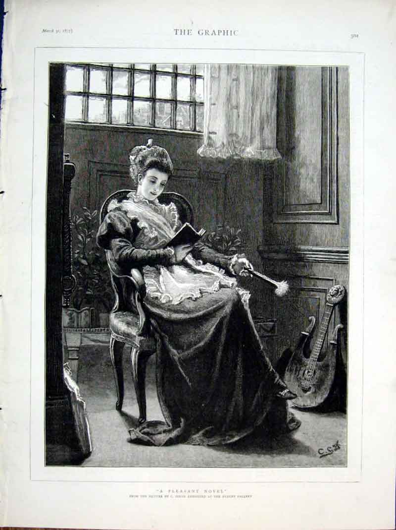Original Old Antique Print Pleasant Novel Fine Art By Gogin 1877 19th