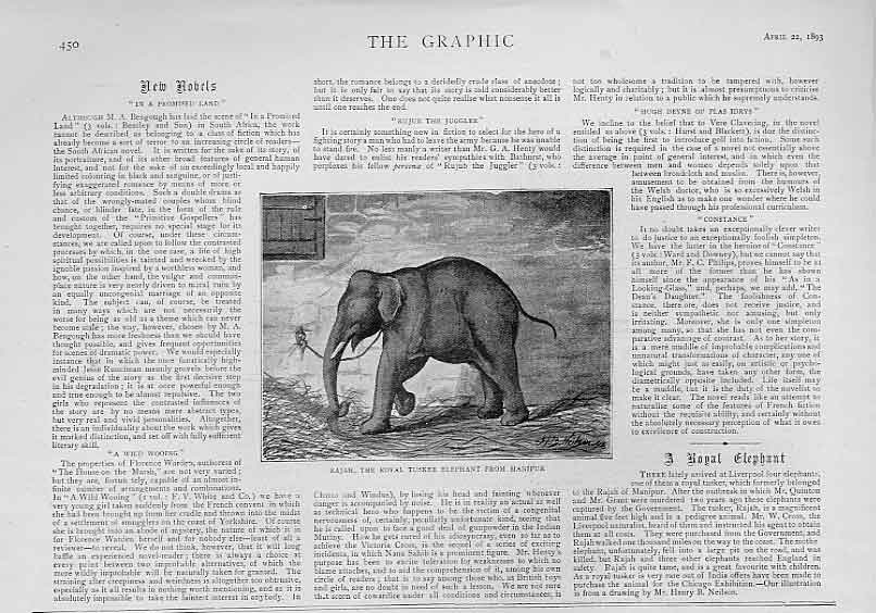 Original Old Antique Print Rajah Royal Tusker Elephant From Manipur India 1893