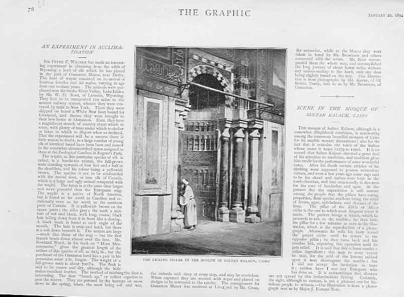 Original Old Antique Print Licking Pillar Mosque Sultan Kalaun Caira 1894 Egypt