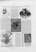 Original Old Antique Print Mashonaland & Big Game 1894 1894 17 Pictures 19th