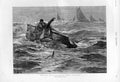 Old Antique Print Capsized With North Sea Hering Fishing Fleet 1894 Ships 19th