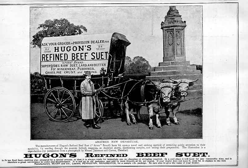 Original Old Antique Print Ox Cart Advert For Hugons Beef Suet 1896 Victorian