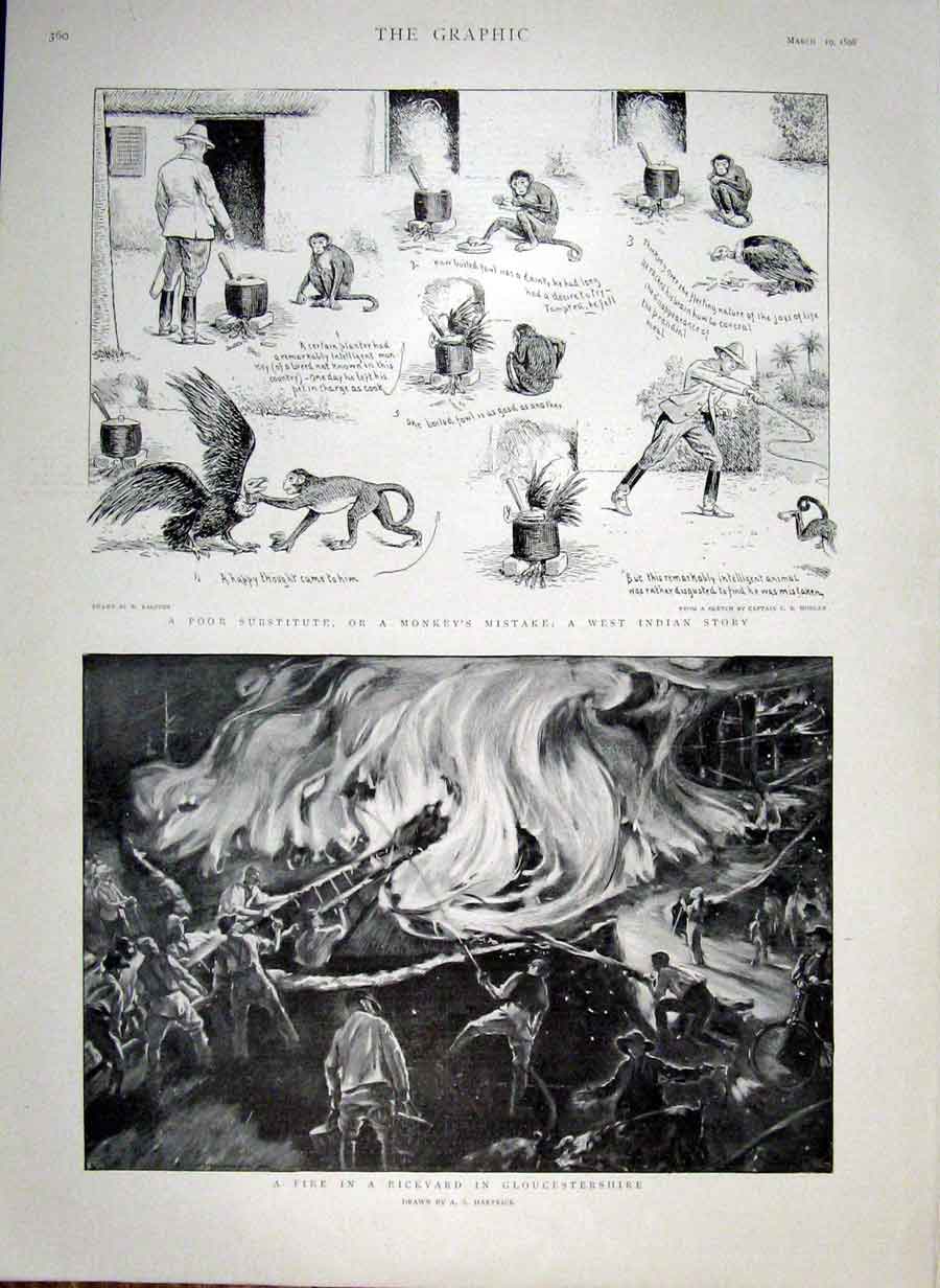 Original Old Antique Print Monkey'S Mistake 1898 Fire Rickyard Gloucestershire