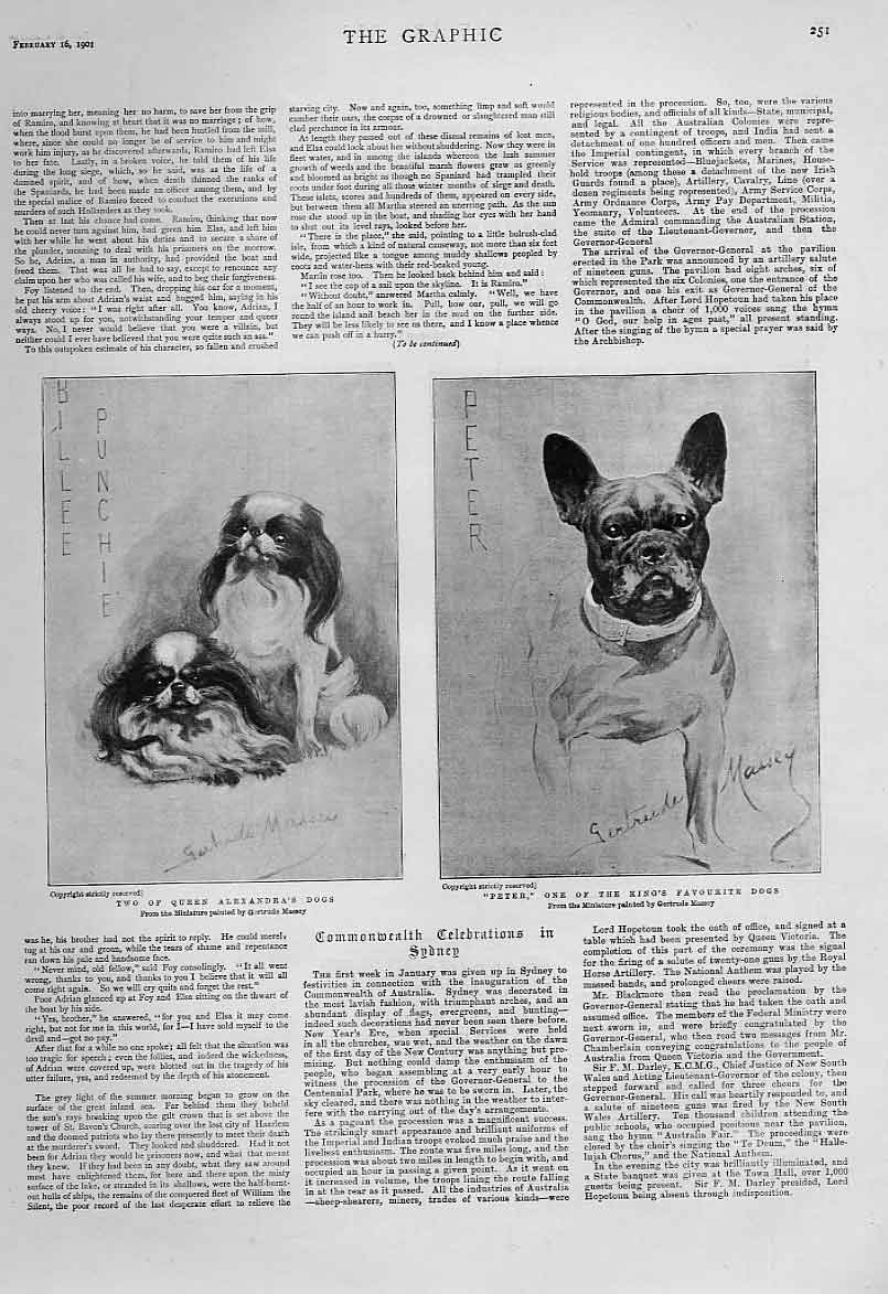 Original Old Antique Print King & Queens Favourite Dogs 1901 20th