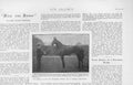 Original Old Antique Print Winner 2000 Gns Handicapper 1901 Horse Racing