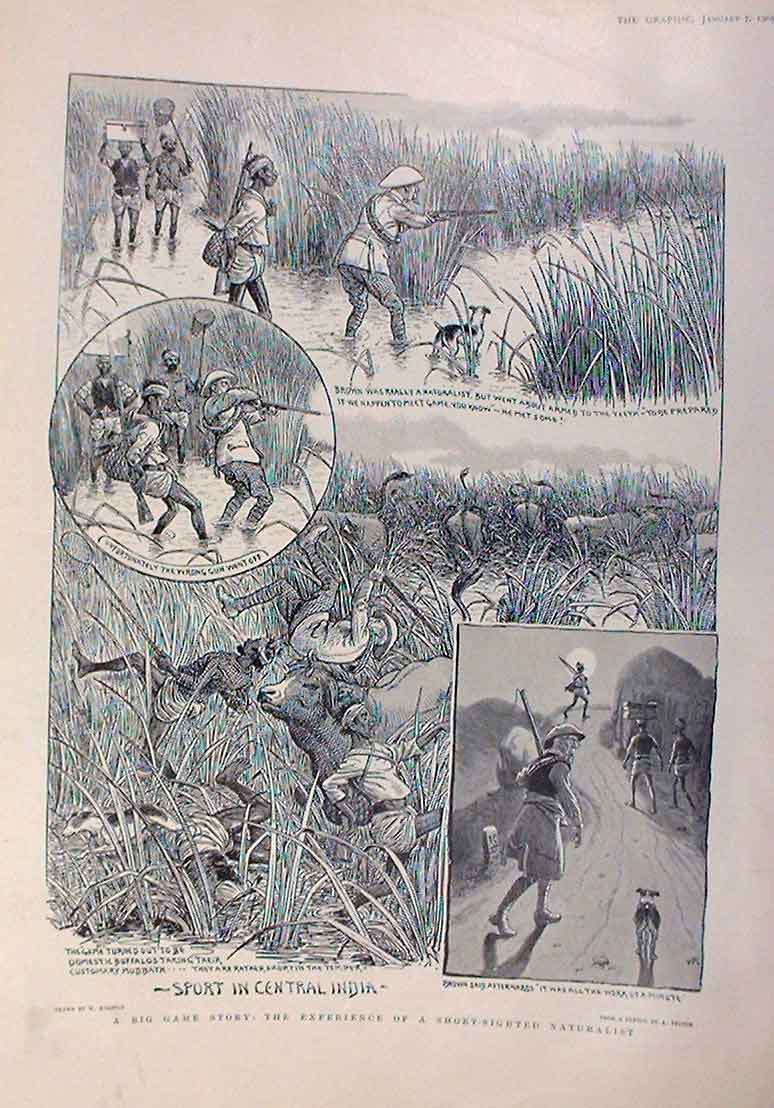Original Old Antique Print Big Game Sport India 1905 Comic 20th Century