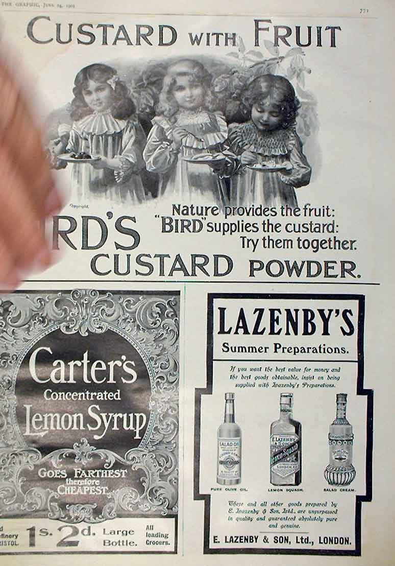 Original Old Antique Print Birds Custard With Fruit 1905 Lazenby'S Carters 20th