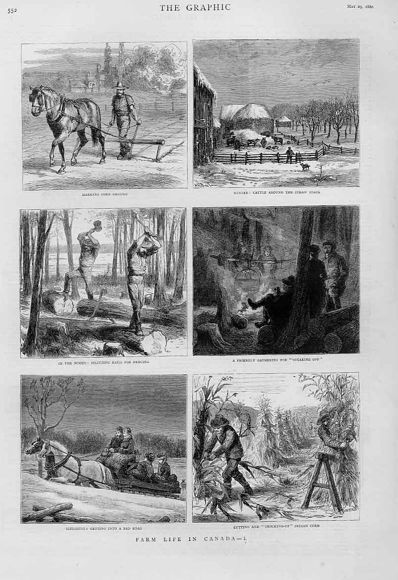 Original Old Antique Print Farm Life Canada 1880 *1 19th Century