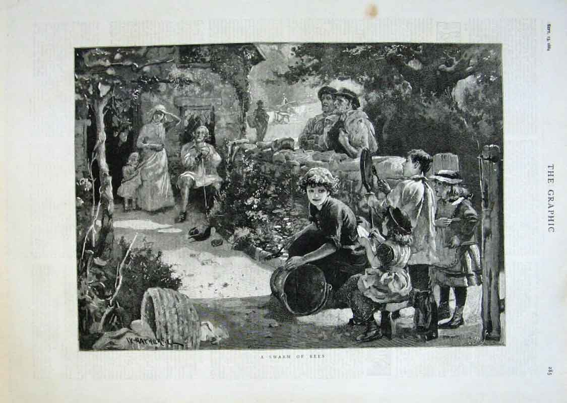 Original Old Antique Print A Swarm Bees 1884 Fine Art 19th Century