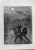 Original Old Antique Print Wooing Piet By Fripp Fine Art Child & Lion
