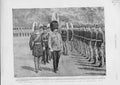 Original Old Antique Print Prince Wales Inspects Massachusetts Artillery 1896