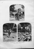 Old Antique Print Japanes Beauties Miyajima & Shiba Park Tokio 1905 Japan 20th