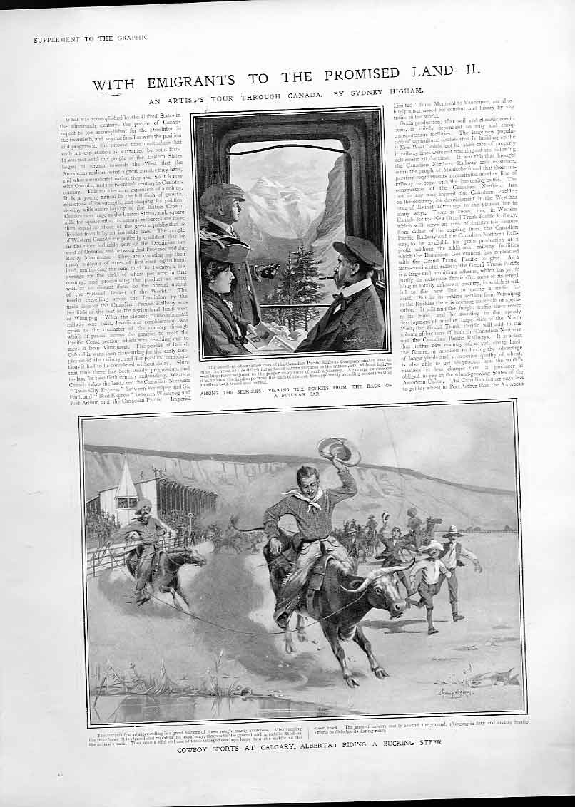 Original Old Antique Print Cowboy Sports Galgary Canada 1905 Bucking Steer 20th