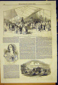 Original Old Antique Print Exhibition American Plants Regents Park Botanic 1850
