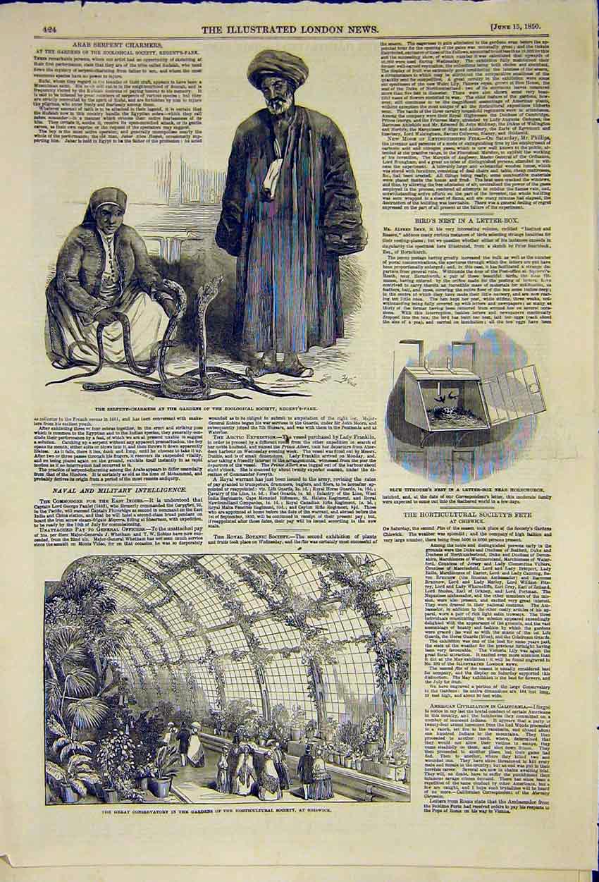Original Old Antique Print Snake Charmers Zoological Horticultural Society 1850