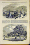 Original Old Antique Print Ramsgate Harbour Cricket Duncan Sketch 1850 Victorian