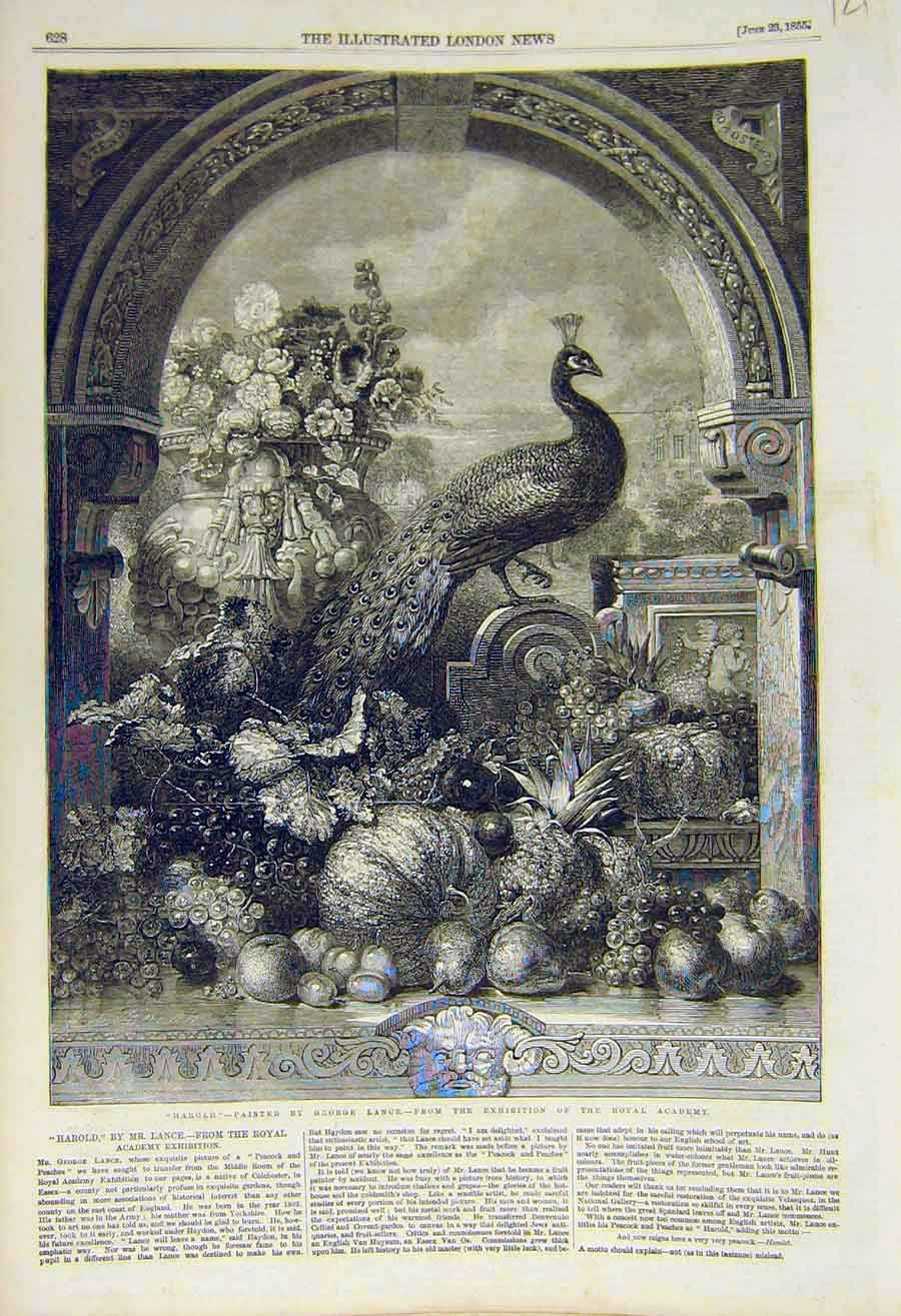 Original Old Antique Print 1855 HarLance Royal Academy Fine Art 19th