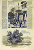 Original Old Antique Print Tophana Constantinople Oak Godfrey Bouillon 1855 19th