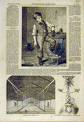 Original Old Antique Print Sketch Hemsley Temerpance Pavilion Plate Macleod 1855