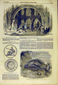 Original Old Antique Print Opera Berta Scene Theatre Sea-Cucumber Medal M'Clure