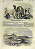 Old Antique Print Arabs Camels Sketches Algeria Carthage Mosque Cadi 1858 19th