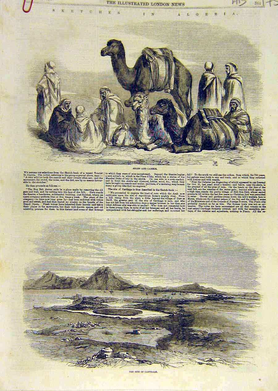 Old Antique Print Arabs Camels Sketches Algeria Carthage Mosque Cadi 1858 19th