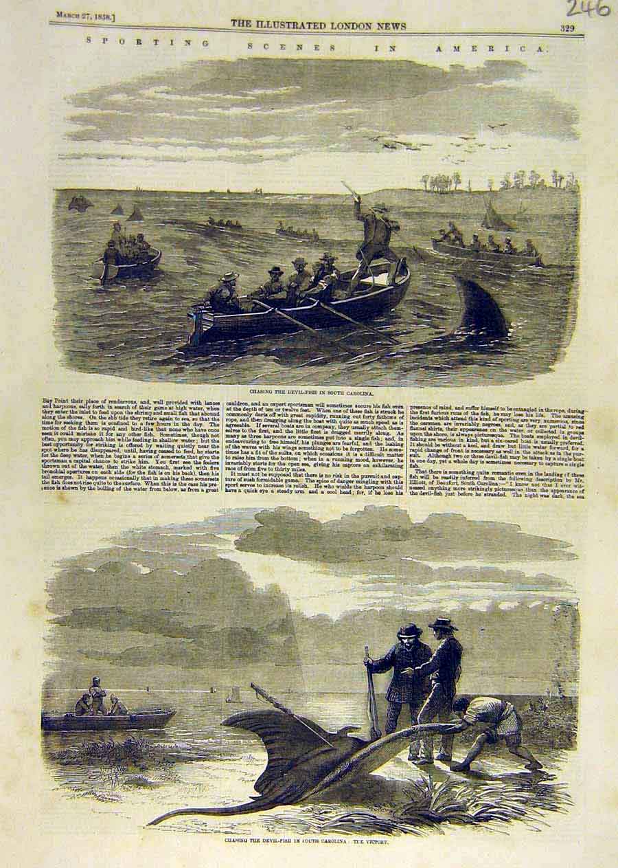 Original Old Antique Print Sport Secnes America Devil-Fish Carolina Fishing 1858