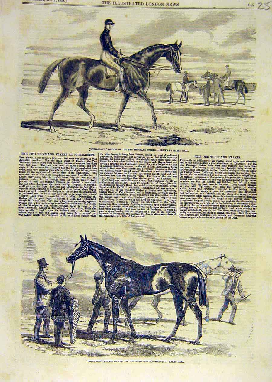 Original Old Antique Print Fitzroland Race-Horse Harry-Hall Governess 1858 19th
