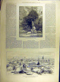 Original Old Antique Print 1884 Great-Orchid St-Albans War Soudan Tombs El-Teb