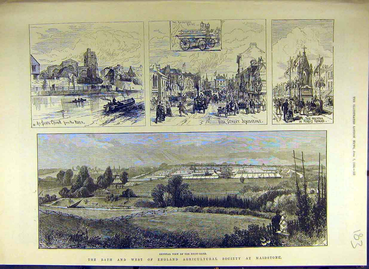 Antique Old Print *0009 1884 Bath West-England Agricultural Society Maidstone