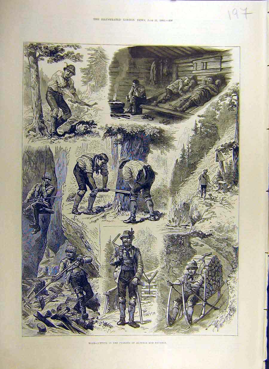 Original Old Antique Print 1884 Wood-Cutting Forest Austria Bavaria Sketches