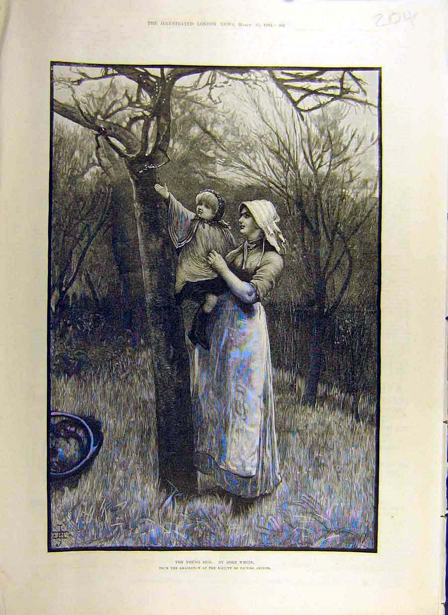 Original Old Antique Print 1884 Young-Bud White Art Orchard Lady Child Victorian
