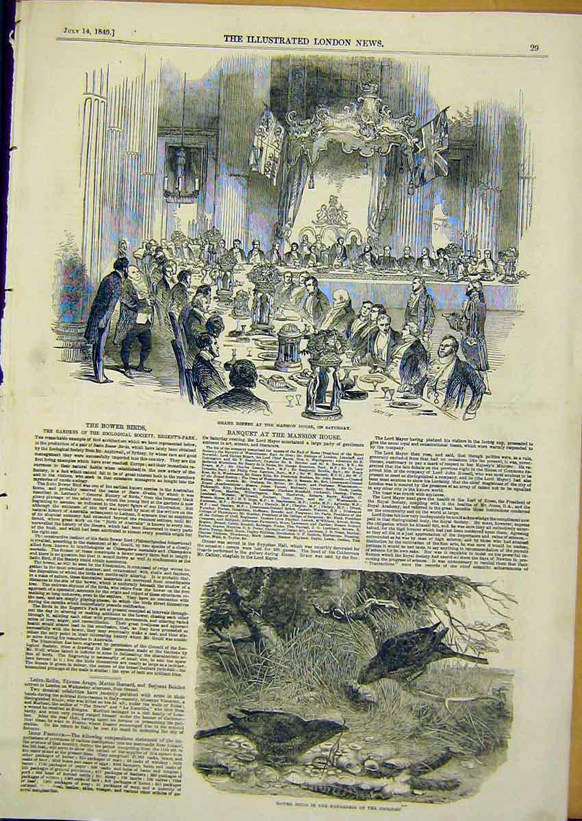 Original Old Antique Print Banquet Mansion House Bower Birds 1849 19th