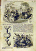 Old Antique Print 1853 Theatre Comedy Donna Diana Stamford Cup Ostriches 19th
