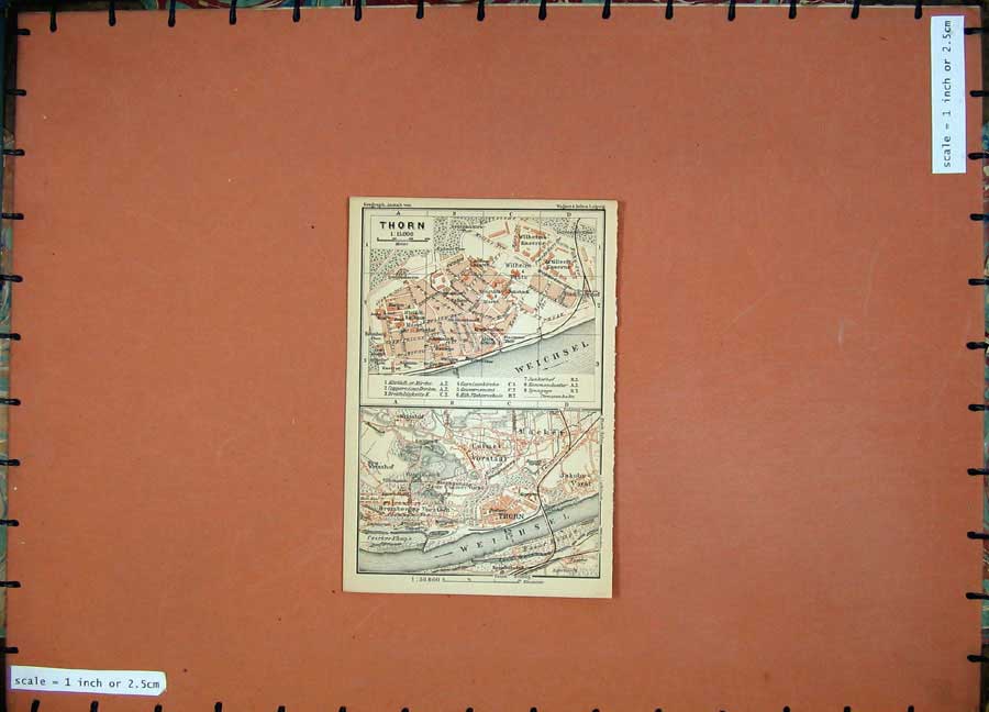 Original Old Antique Print 1900 Colour Map Germany Street Plan Thorn Weichsel
