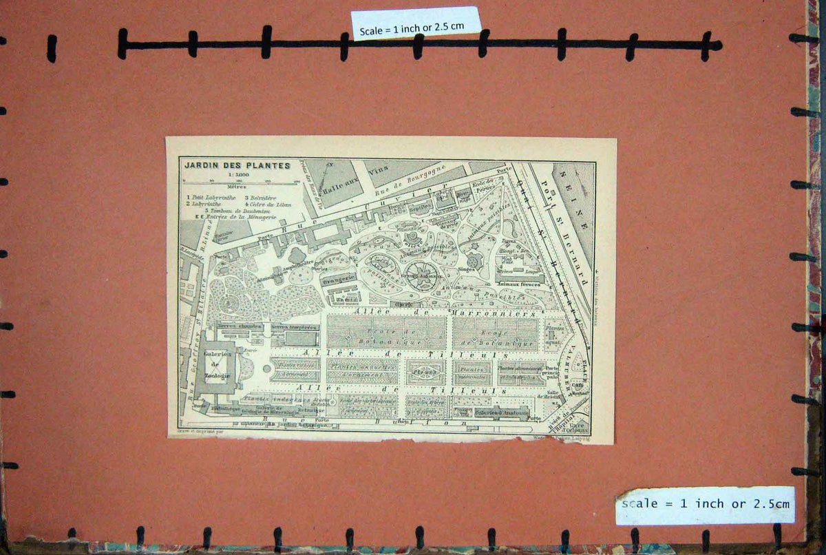 Original Old Antique Print Map France 1900 Plan Jardin Des Plantes Marronniers
