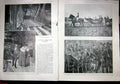 Old Antique Print President Loubet Visit London Aldershot Britain 1903 20th