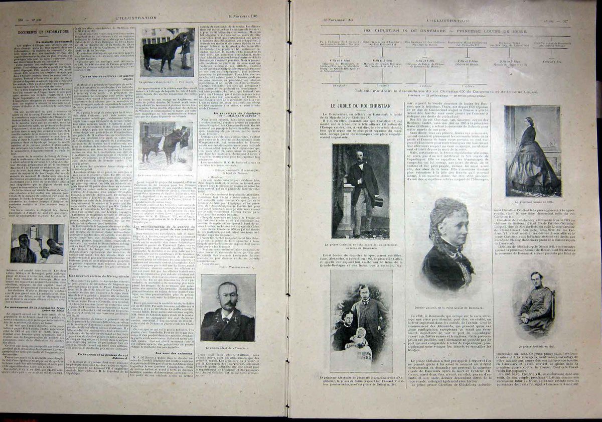 Original Old Antique Print King Christian Denmark Family Heritage French 1903