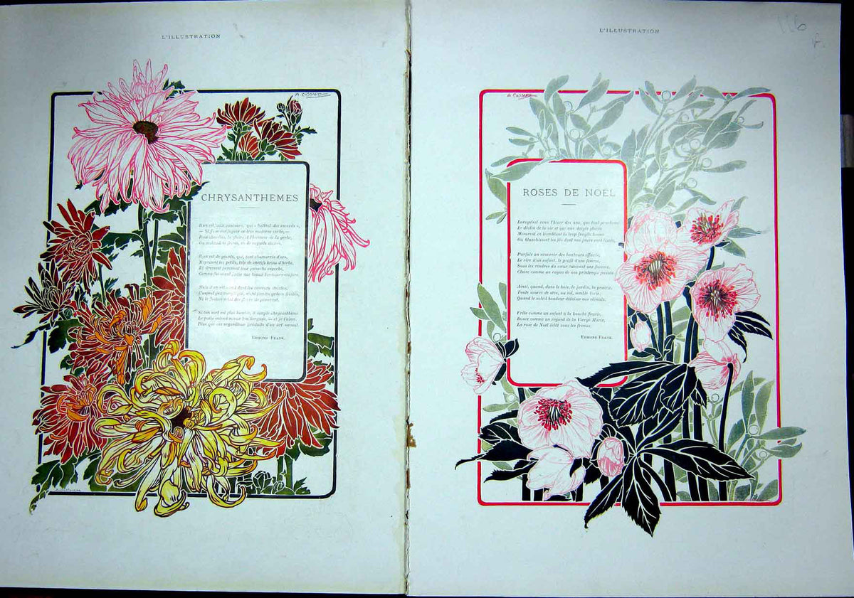 Original Old Antique Print Roses Christmas Asian Toys Chrysanths French 1903