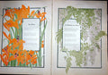 Original Old Antique Print Poetry Flowers Muses Poem Evening French 1903 20th