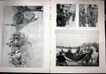 Original Old Antique Print Review Vincennes Loubet Versailles French 1903 20th