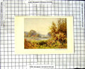 Original Old Vintage Print Autumn Weeds Chilworth C1850-C1930 Colour Victorian