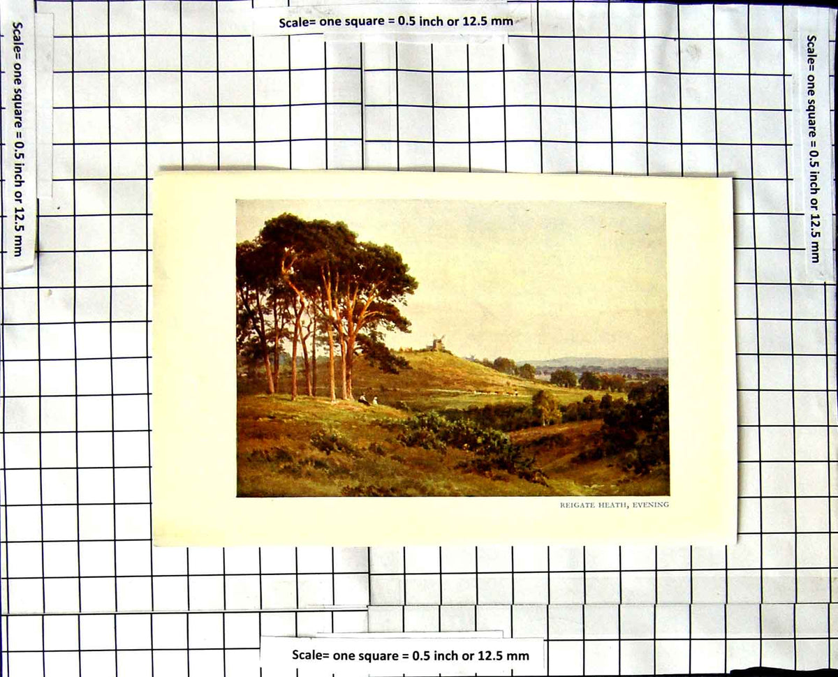 Original Old Vintage Print C1850-C1930 Colour View Reigate Heath Windmill 19th