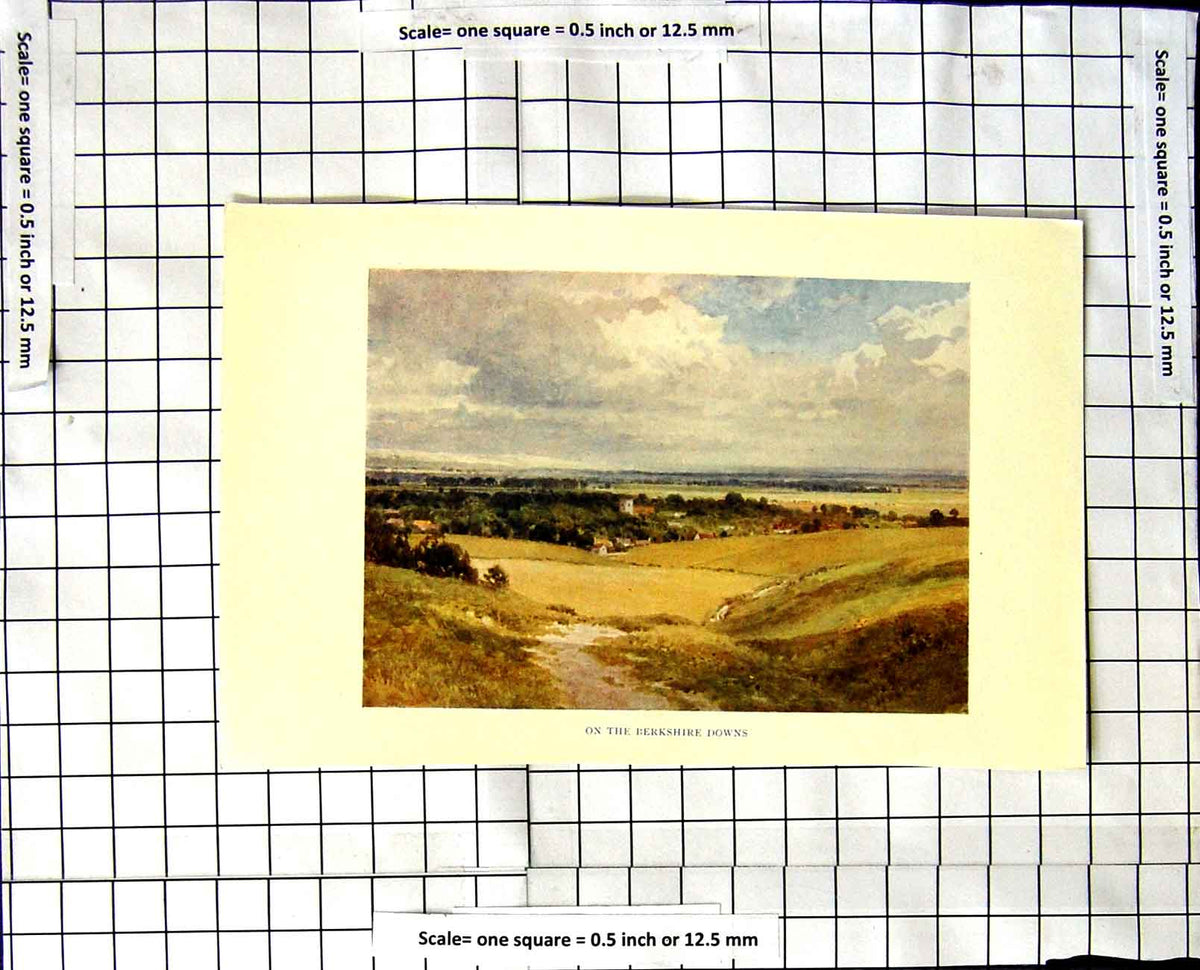Original Old Vintage Print C1850-C1930 Colour View On The Berkshire Downs 19th