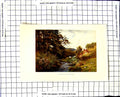 Original Old Vintage Print C1850-C1930 Colour View Stream Shalford Trees 19th