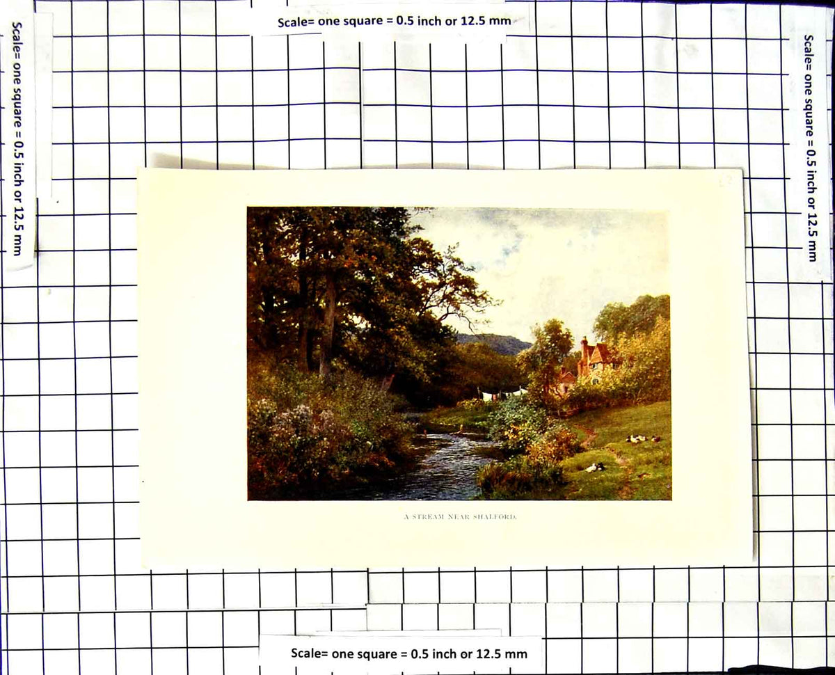 Original Old Vintage Print C1850-C1930 Colour View Stream Shalford Trees 19th