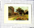 Original Old Vintage Print C1850-C1930 Colour View The Long Walk Haslehust 19th